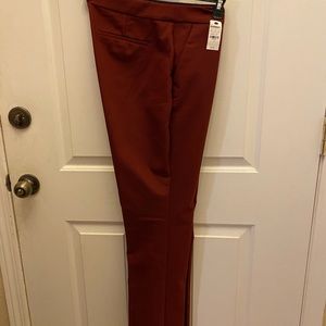 Express Pant Wine Color